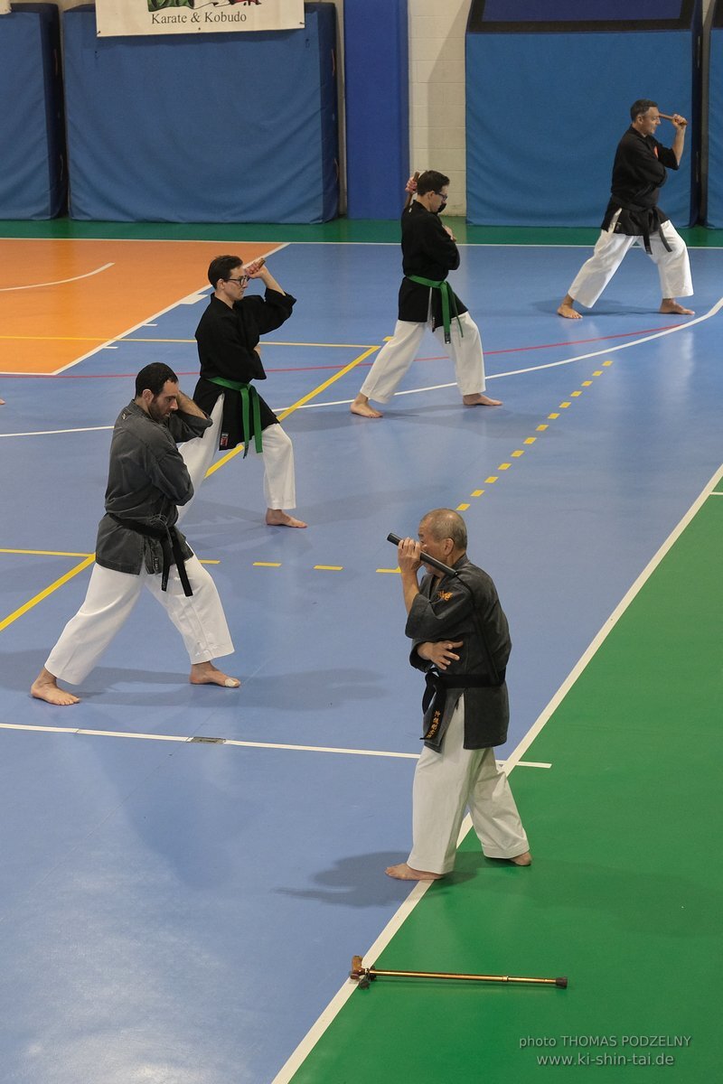 Ryukyu Kobudo Lehrgang Hiroshi Akamine Hanshi 9.Dan - Rom - 3.-5.3.2023