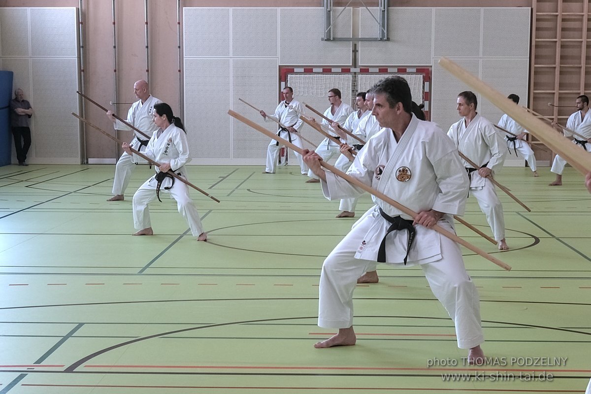 Ryukyu Kobudo Lehrgang Kaicho Hiroshi Akamine Wien 29.4.-1.5.2022 