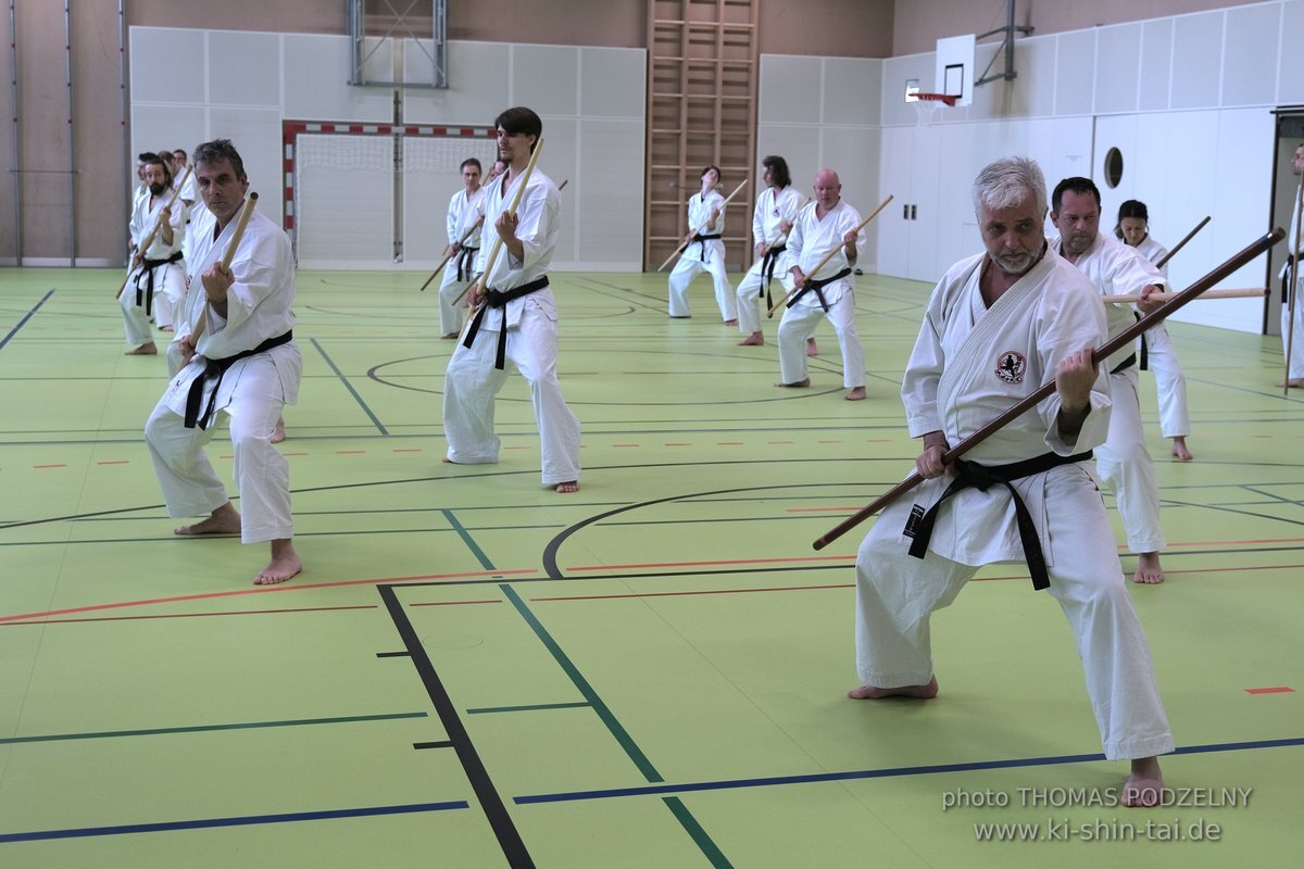 Ryukyu Kobudo Lehrgang Kaicho Hiroshi Akamine Wien 29.4.-1.5.2022 