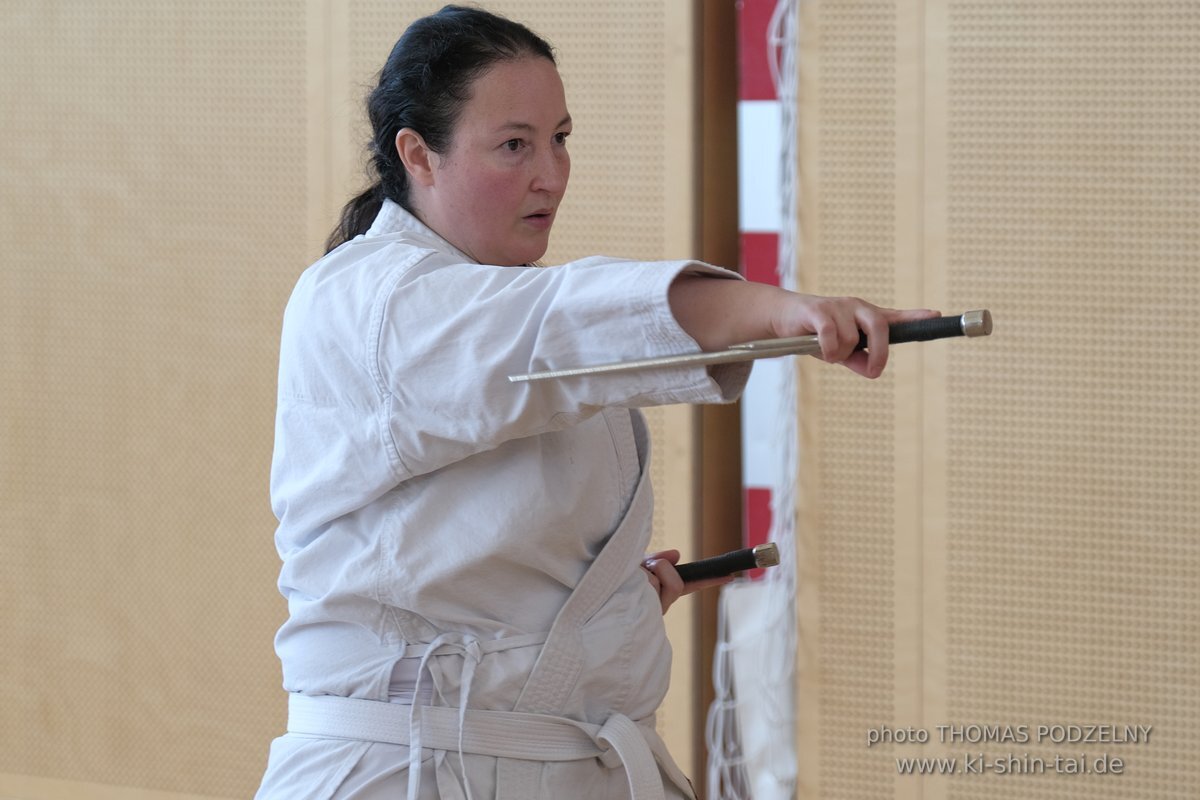 Ryukyu Kobudo Lehrgang Kaicho Hiroshi Akamine Wien 29.4.-1.5.2022 