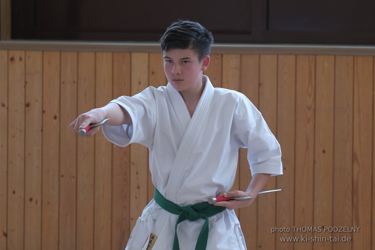 Ryukyu Kobudo Lehrgang Kaicho Hiroshi Akamine Wien 29.4.-1.5.2022 