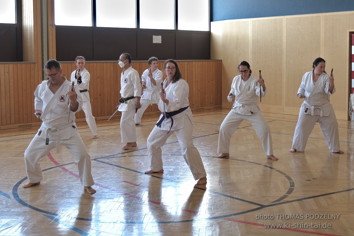 Ryukyu Kobudo Lehrgang Kaicho Hiroshi Akamine Wien 29.4.-1.5.2022 