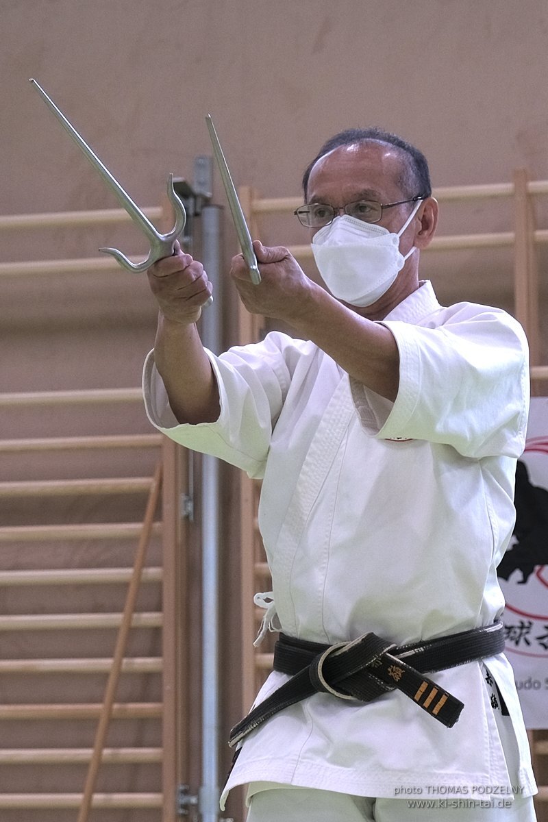 Ryukyu Kobudo Lehrgang Kaicho Hiroshi Akamine Wien 29.4.-1.5.2022 