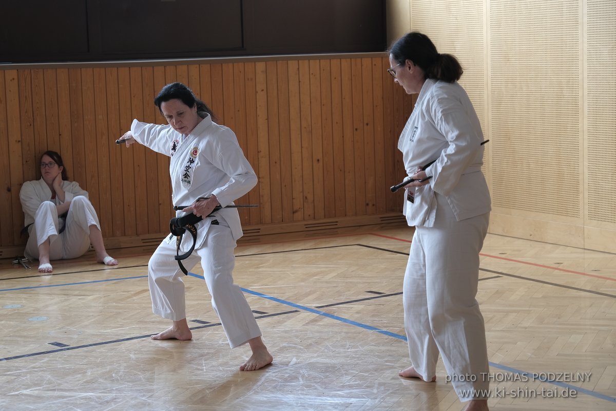 Ryukyu Kobudo Lehrgang Kaicho Hiroshi Akamine Wien 29.4.-1.5.2022 