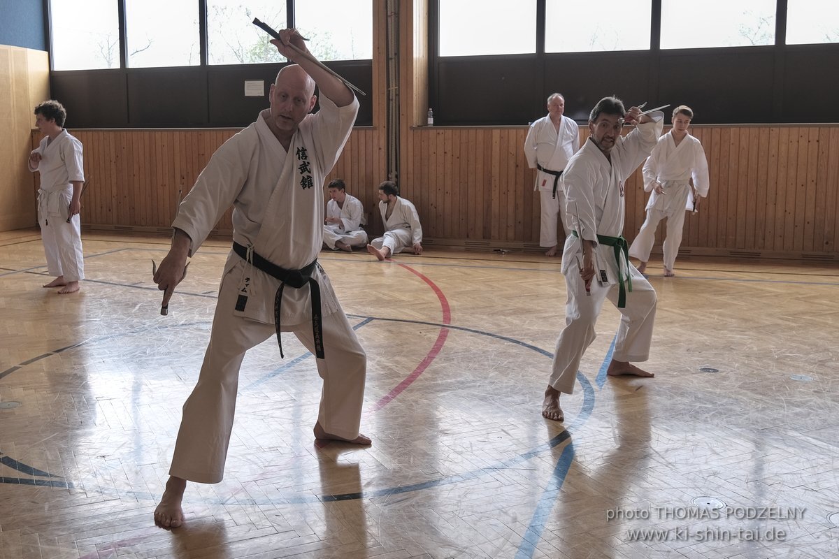 Ryukyu Kobudo Lehrgang Kaicho Hiroshi Akamine Wien 29.4.-1.5.2022 