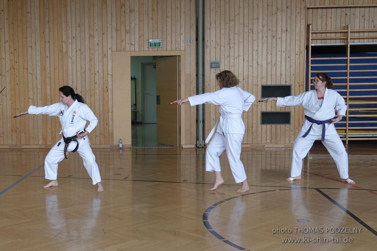 Ryukyu Kobudo Lehrgang Kaicho Hiroshi Akamine Wien 29.4.-1.5.2022 