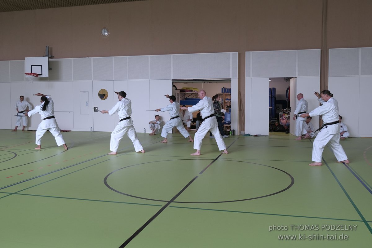 Ryukyu Kobudo Lehrgang Kaicho Hiroshi Akamine Wien 29.4.-1.5.2022 