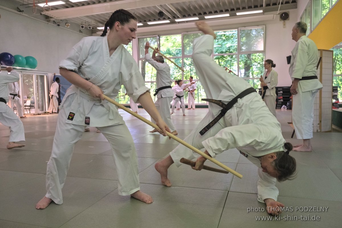 Aikido Lehrgang Alberto Boglio Erlangen 20.-22.5.2022