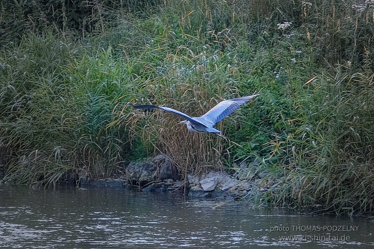 Kanuausflug 2022