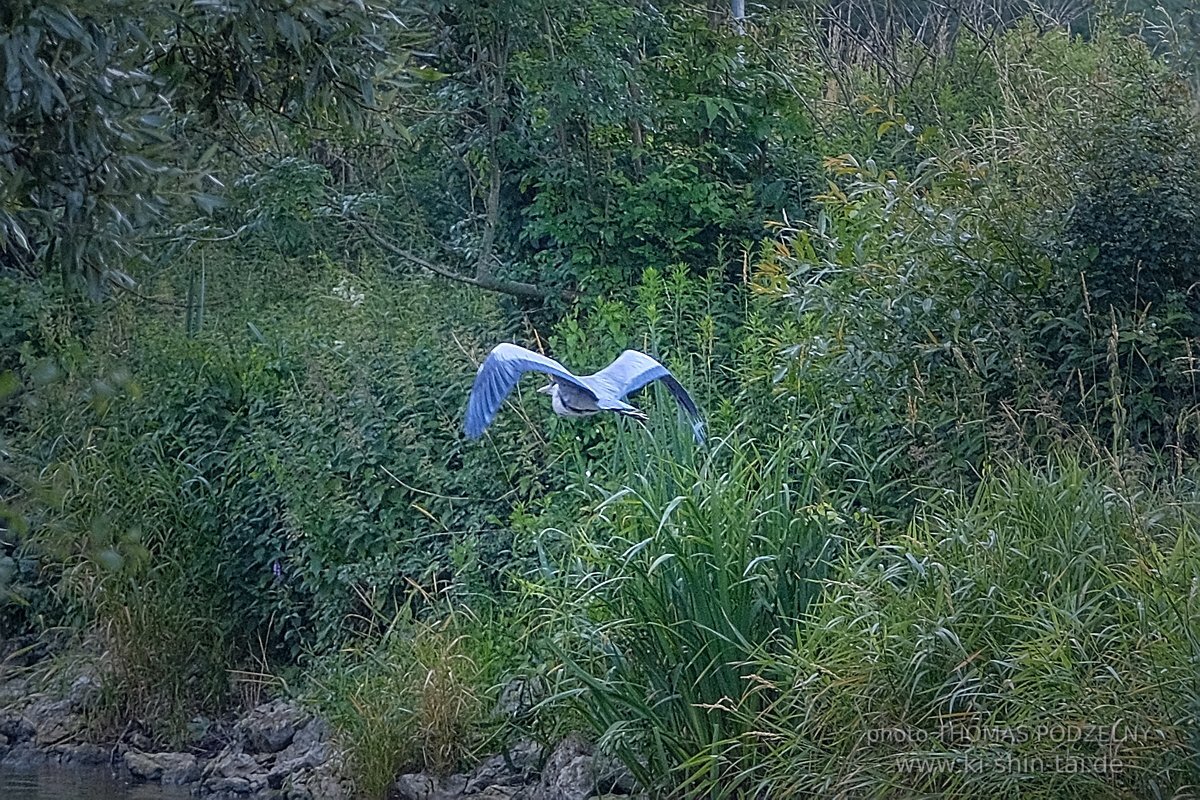 Kanuausflug 2022