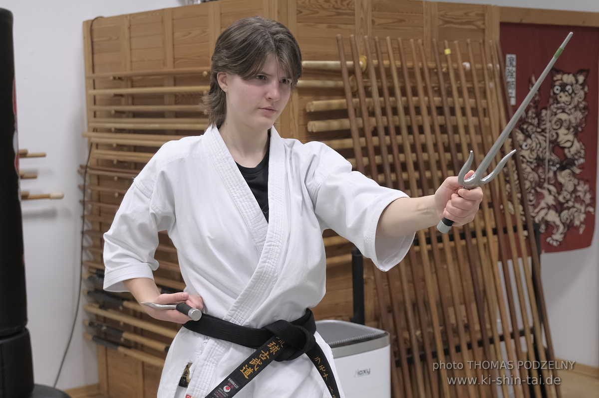 Karate und Kobudô Neujahrslehrgang 4./5.Januar 2025