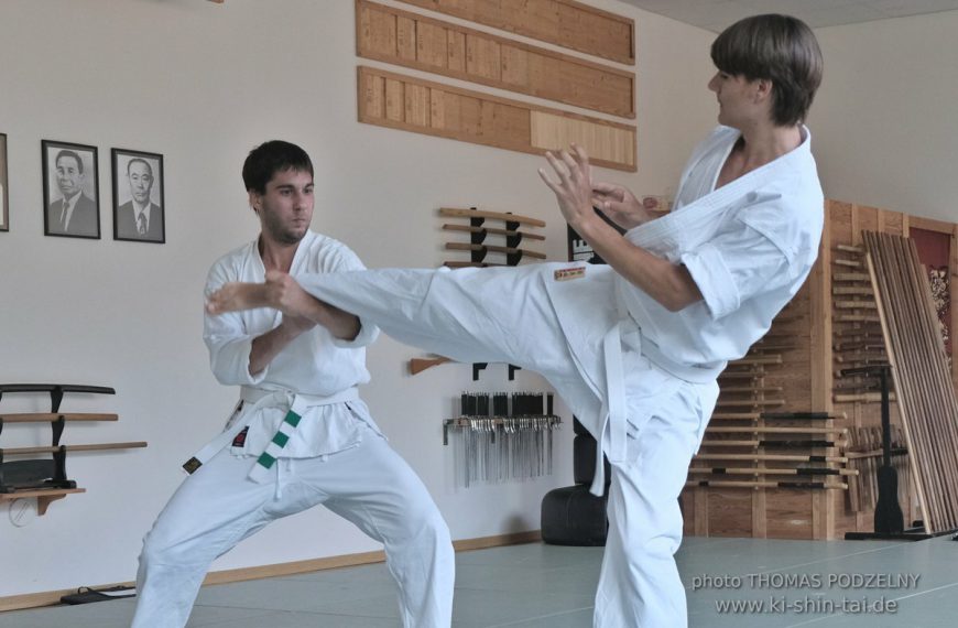 Karate und Kobudô Kyû Prüfungen 24.7.2019