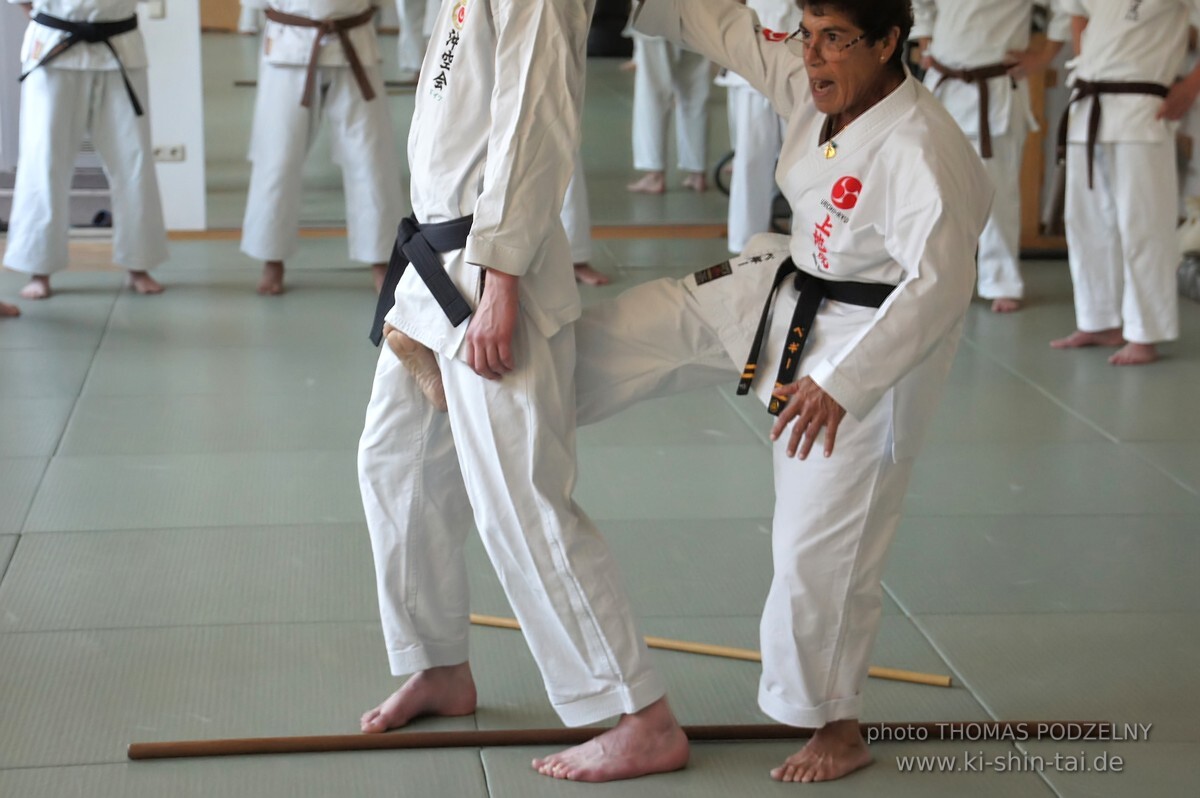 Uechiryu Karate Lehrgang mit Peggy Hess 7.Dan aus Florida/USA am 18.7.2016 