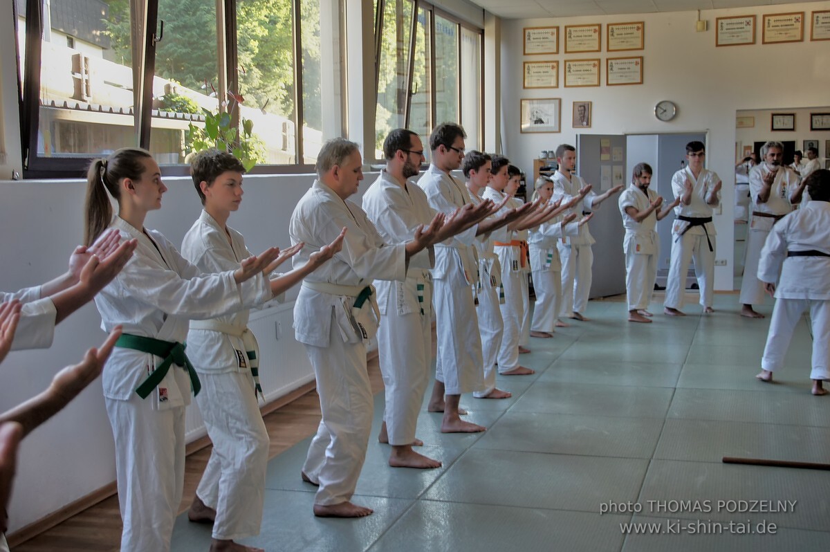 Uechiryu Karate Lehrgang mit Peggy Hess 7.Dan aus Florida/USA am 18.7.2016 