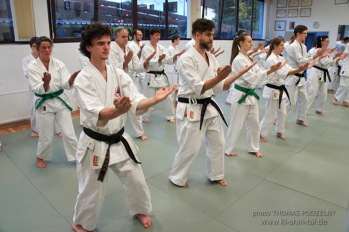 Uechiryu Karate Lehrgang mit Peggy Hess 7.Dan aus Florida/USA am 18.7.2016 