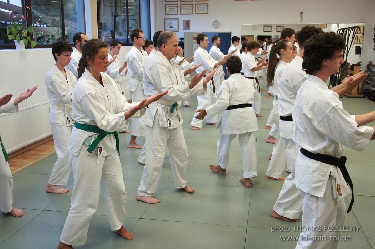 Uechiryu Karate Lehrgang mit Peggy Hess 7.Dan aus Florida/USA am 18.7.2016 