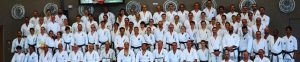 Mehr über den Artikel erfahren Karate Lehrgang mit Kiyohide Shinjo 9.Dan in Bad Kissingen 2018