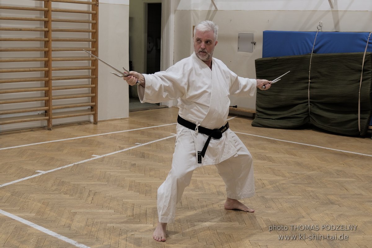 Ryukyu Kobudo Lehrgang Budapest, Thomas Podzelny, Februar 2022