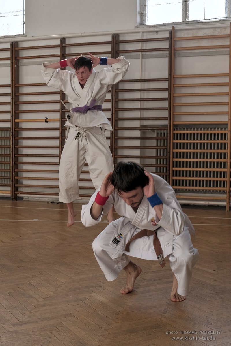 Ryukyu Kobudo Lehrgang Budapest, Thomas Podzelny, Februar 2022