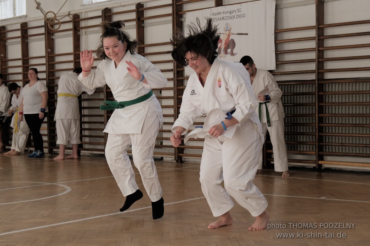 Ryukyu Kobudo Lehrgang Budapest, Thomas Podzelny, Februar 2022