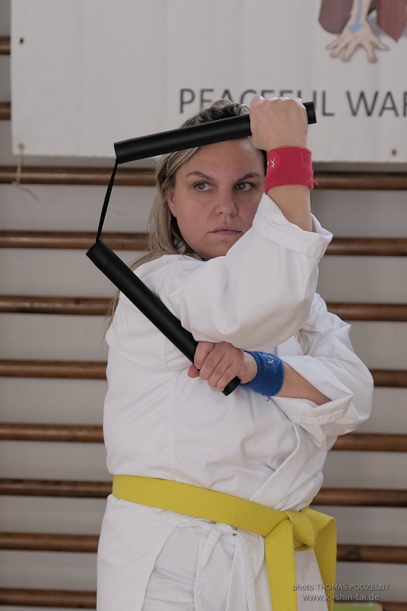 Ryukyu Kobudo Lehrgang Budapest, Thomas Podzelny, Februar 2022