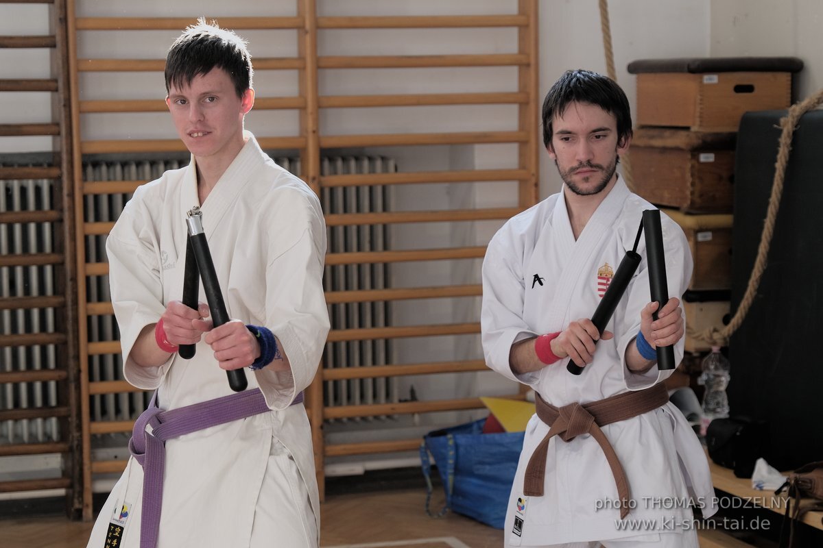 Ryukyu Kobudo Lehrgang Budapest, Thomas Podzelny, Februar 2022