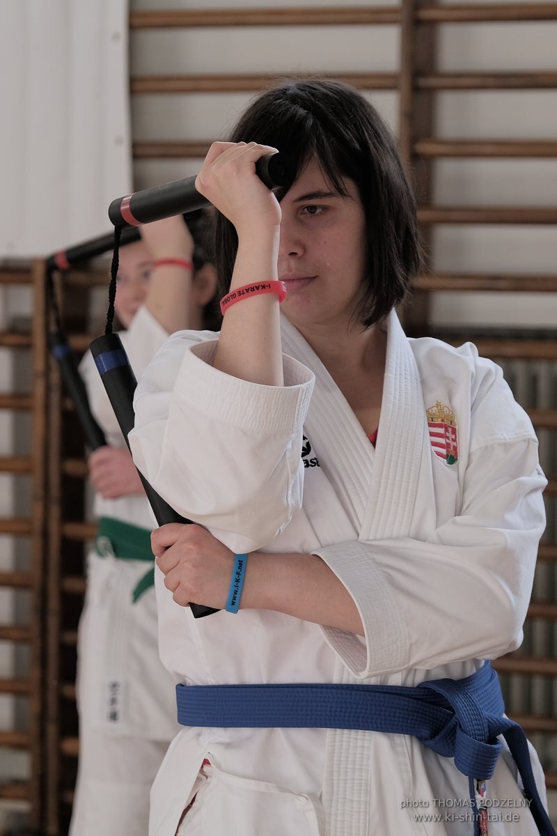 Ryukyu Kobudo Lehrgang Budapest, Thomas Podzelny, Februar 2022