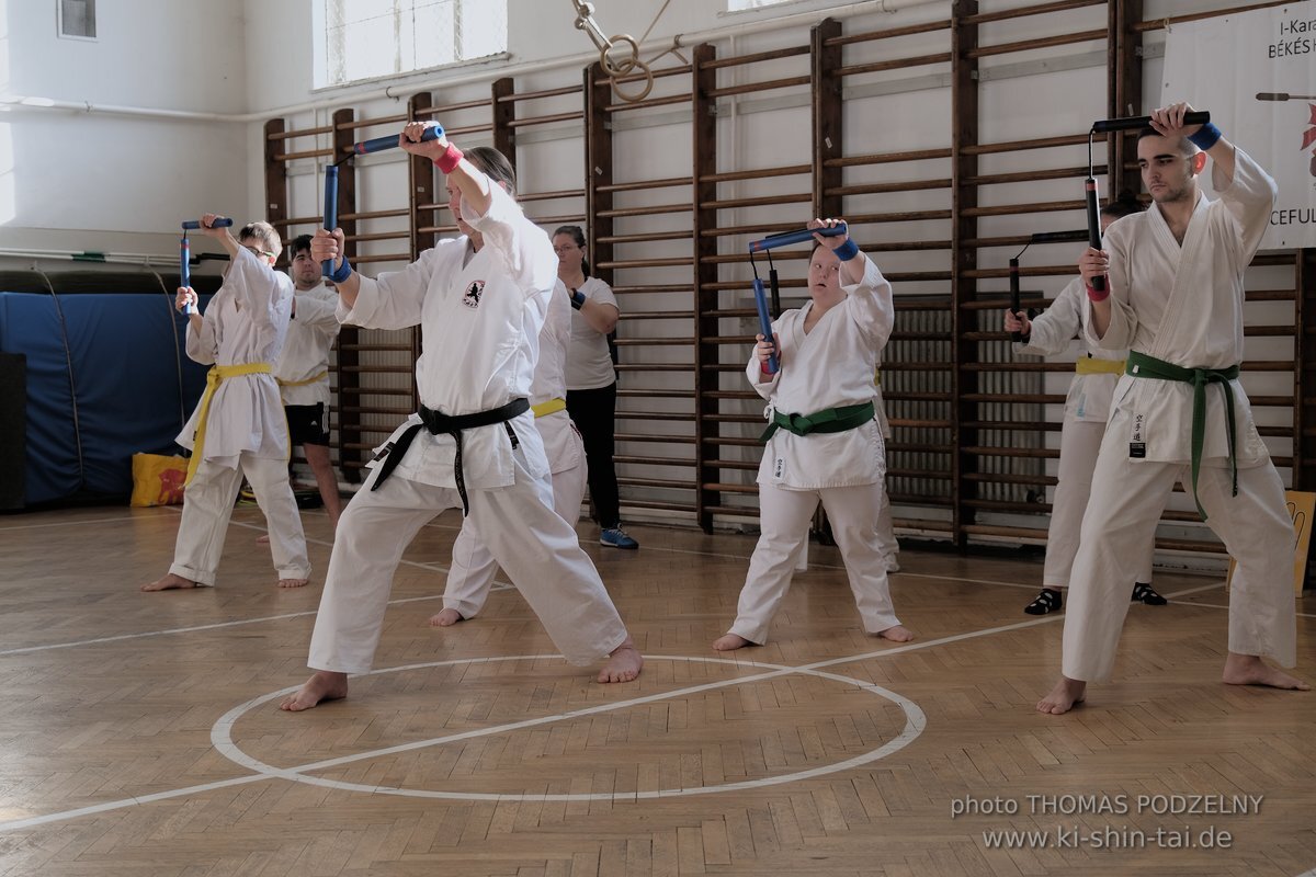 Ryukyu Kobudo Lehrgang Budapest, Thomas Podzelny, Februar 2022