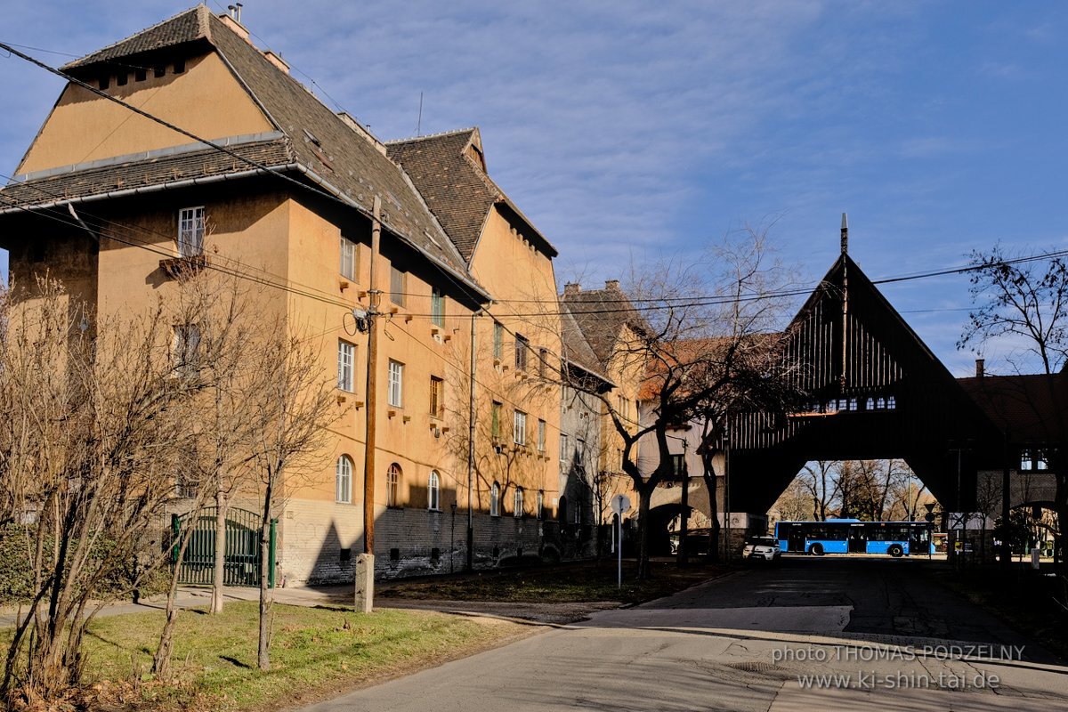 Ryukyu Kobudo Lehrgang Budapest, Thomas Podzelny, Februar 2022