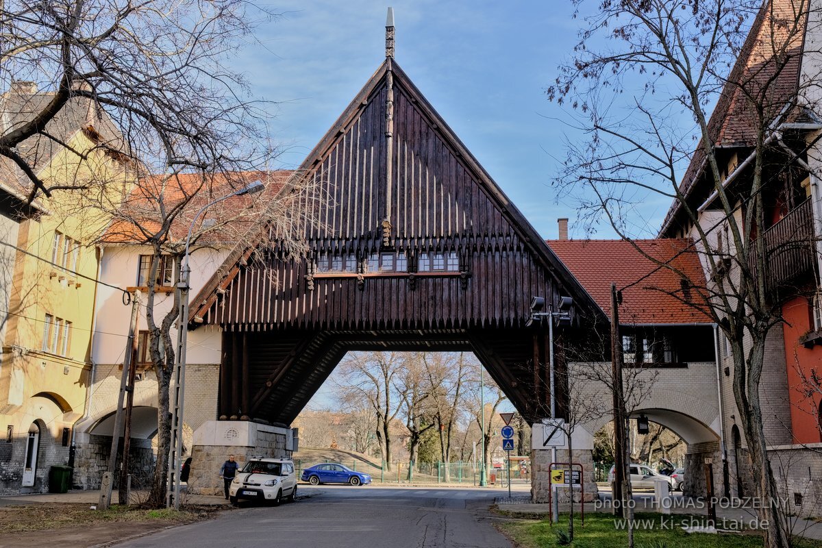 Ryukyu Kobudo Lehrgang Budapest, Thomas Podzelny, Februar 2022