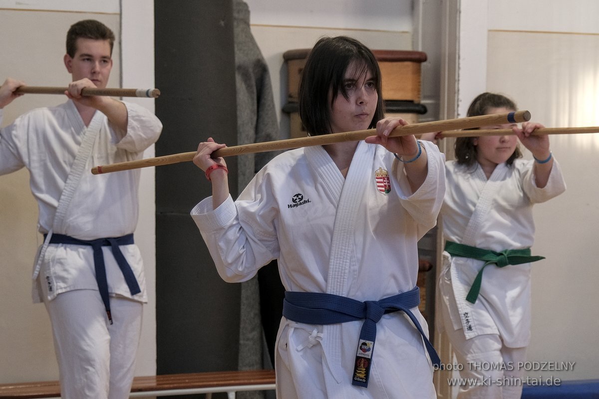 Ryukyu Kobudo Lehrgang Budapest, Thomas Podzelny, Februar 2022