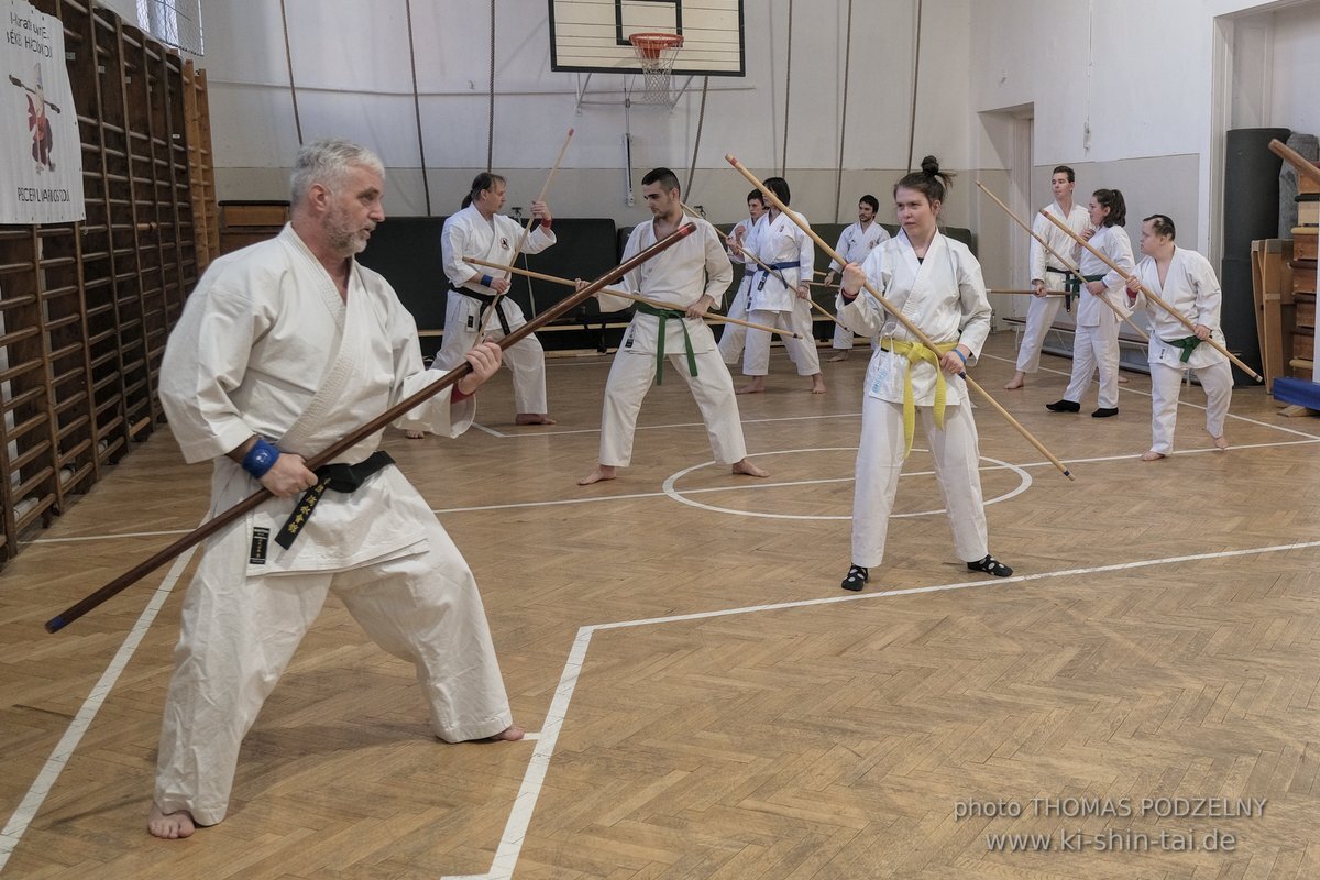 Ryukyu Kobudo Lehrgang Budapest, Thomas Podzelny, Februar 2022