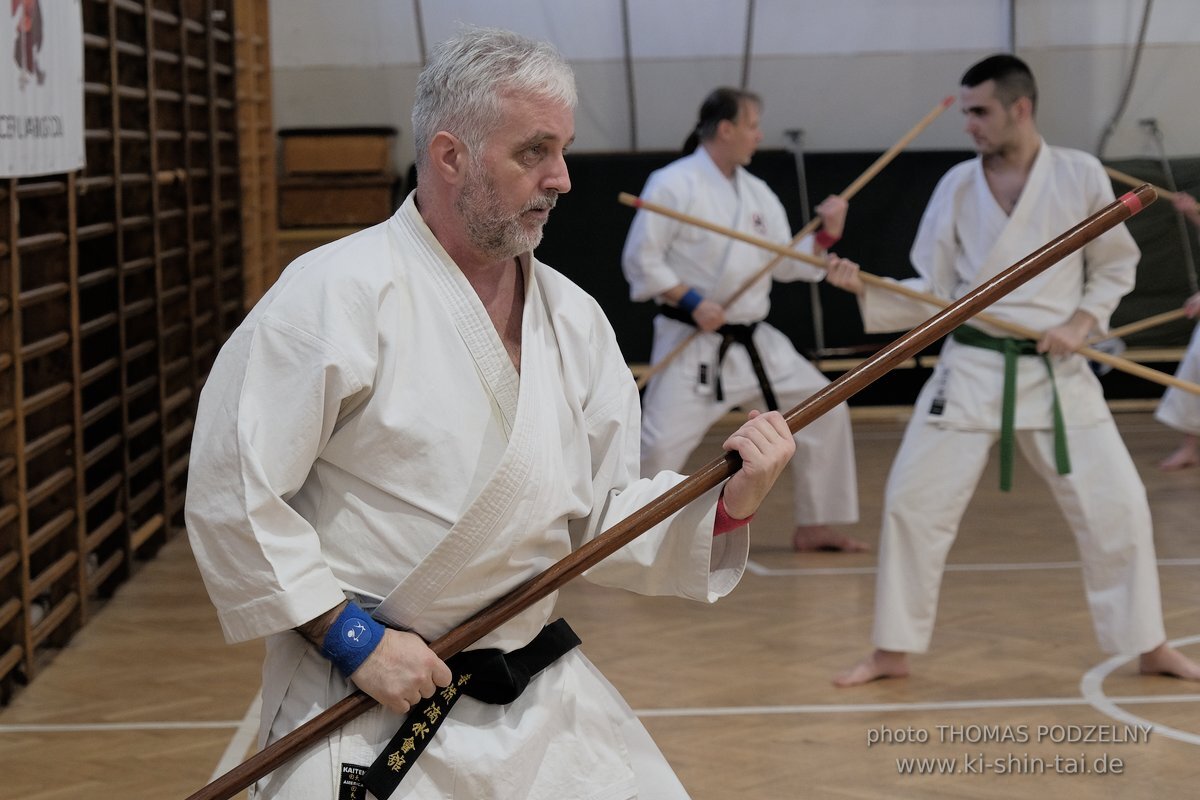 Ryukyu Kobudo Lehrgang Budapest, Thomas Podzelny, Februar 2022