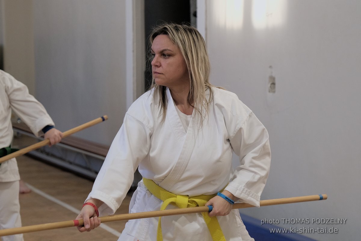 Ryukyu Kobudo Lehrgang Budapest, Thomas Podzelny, Februar 2022