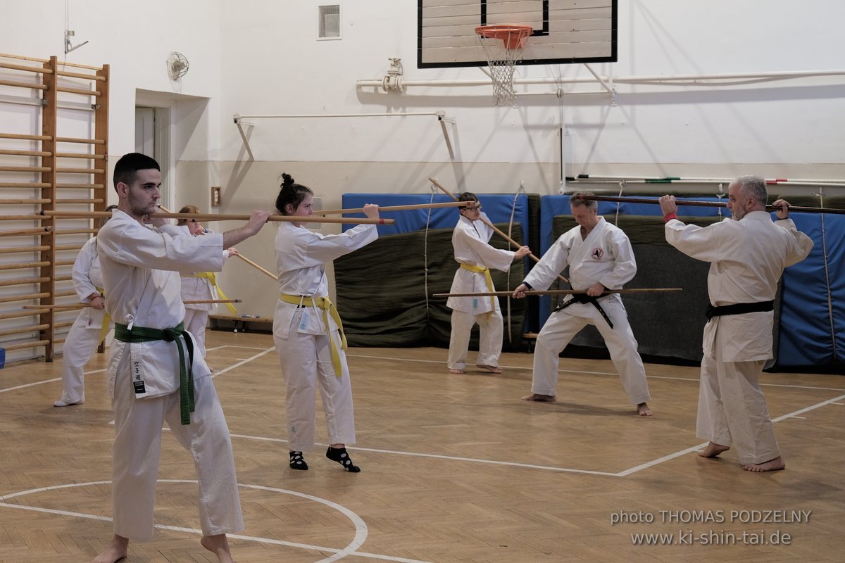 Ryukyu Kobudo Lehrgang Budapest, Thomas Podzelny, Februar 2022