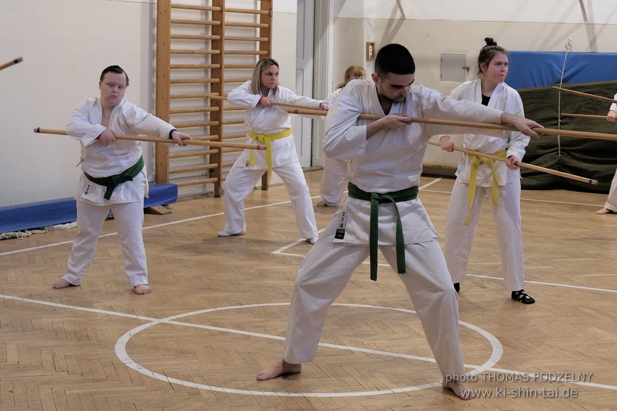 Ryukyu Kobudo Lehrgang Budapest, Thomas Podzelny, Februar 2022