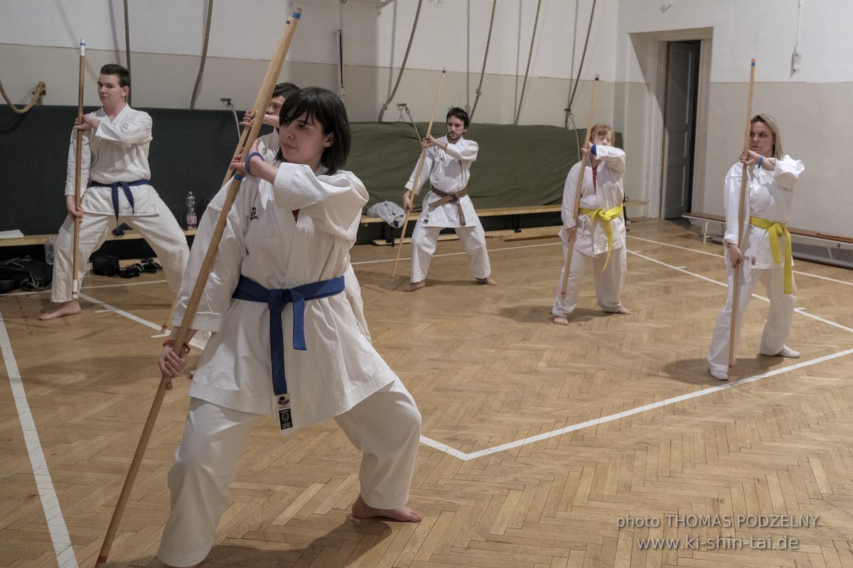 Ryukyu Kobudo Lehrgang Budapest, Thomas Podzelny, Februar 2022