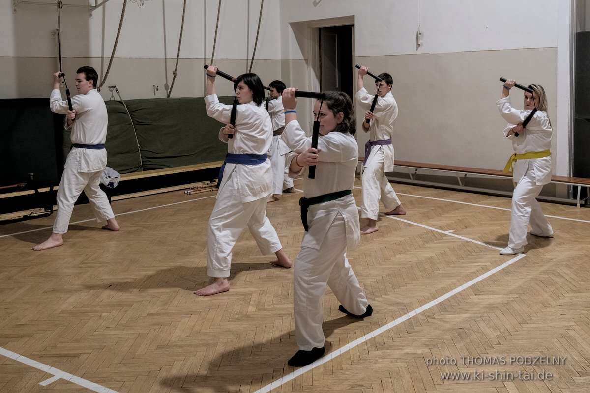 Ryukyu Kobudo Lehrgang Budapest, Thomas Podzelny, Februar 2022