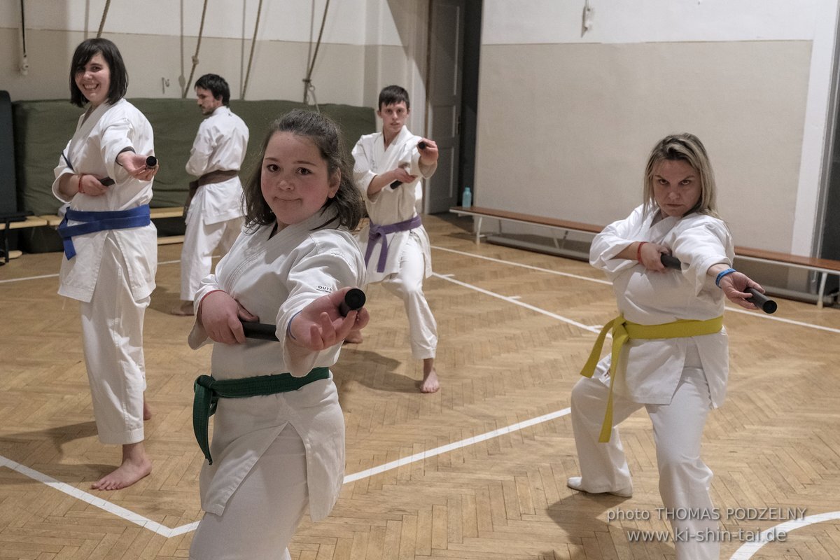 Ryukyu Kobudo Lehrgang Budapest, Thomas Podzelny, Februar 2022