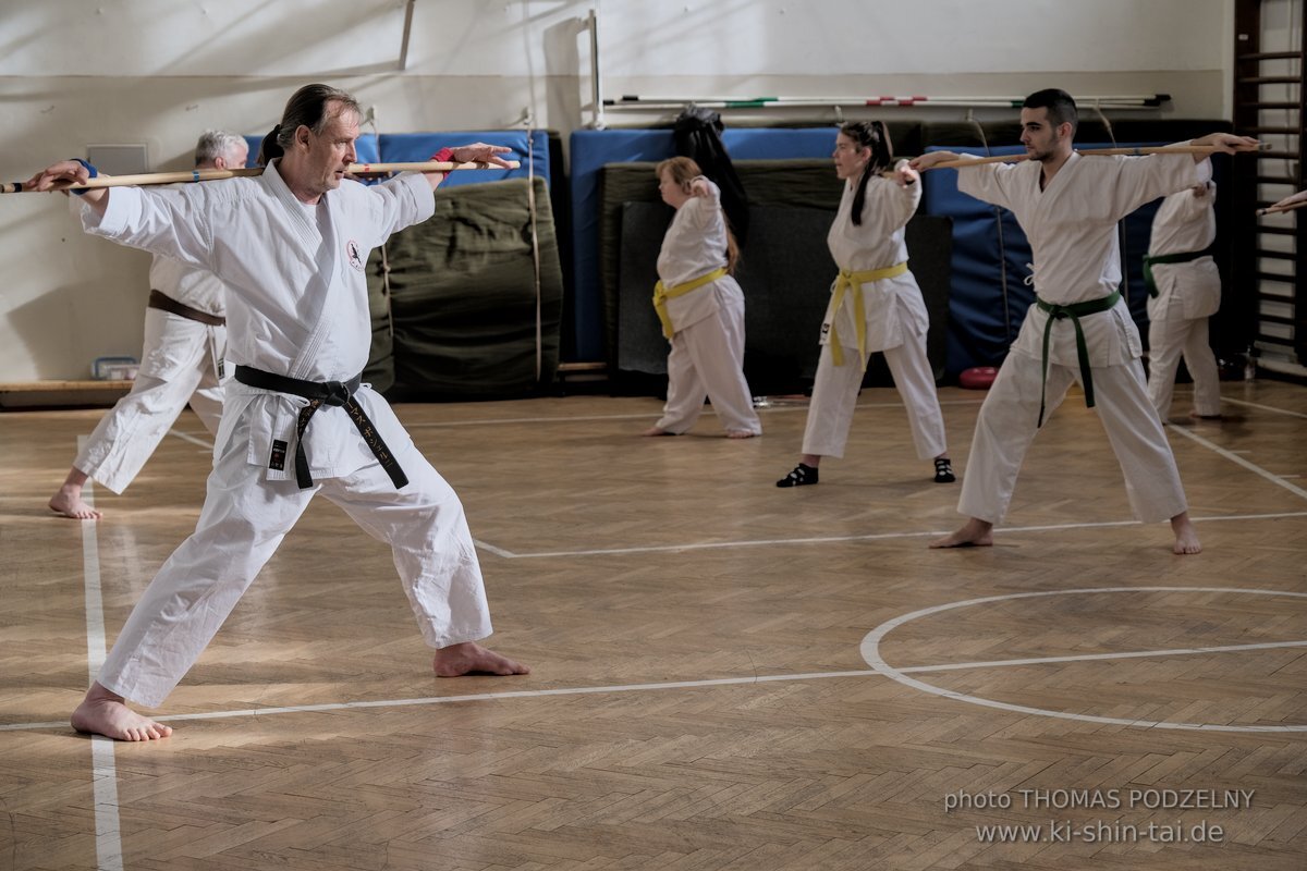 Ryukyu Kobudo Lehrgang Budapest, Thomas Podzelny, Februar 2022