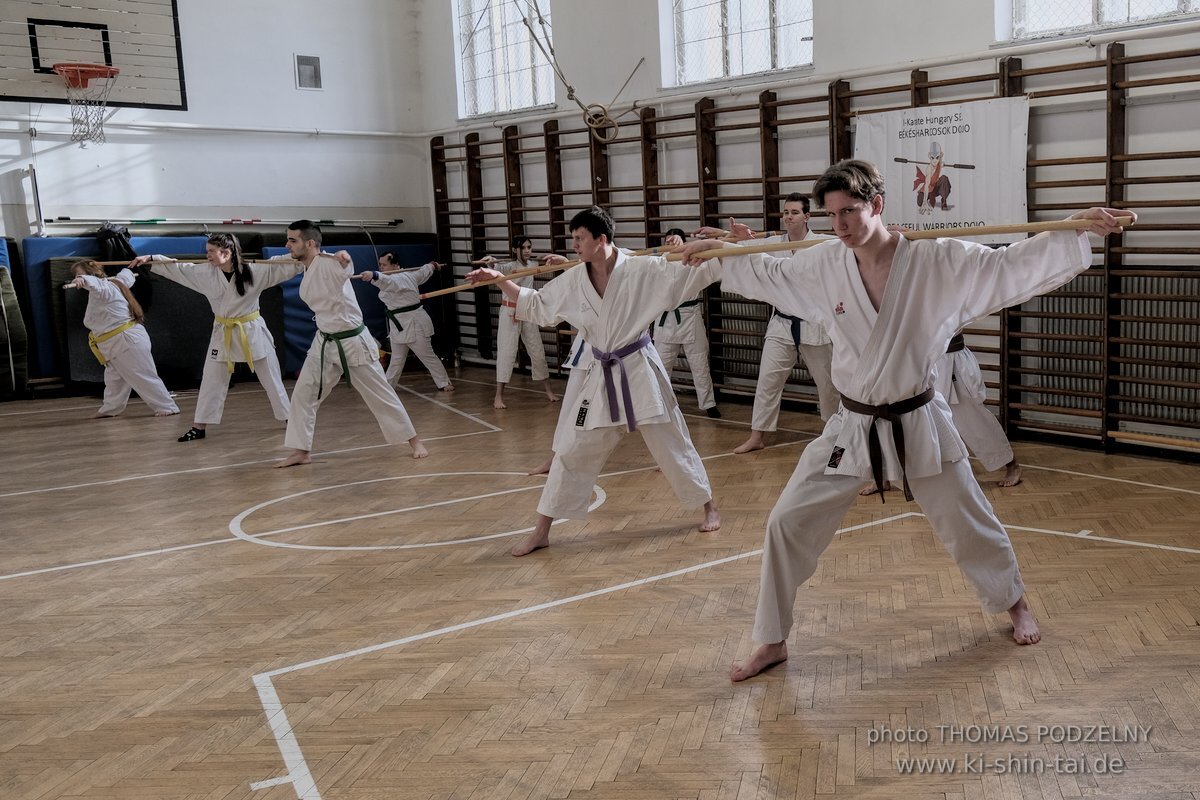 Ryukyu Kobudo Lehrgang Budapest, Thomas Podzelny, Februar 2022