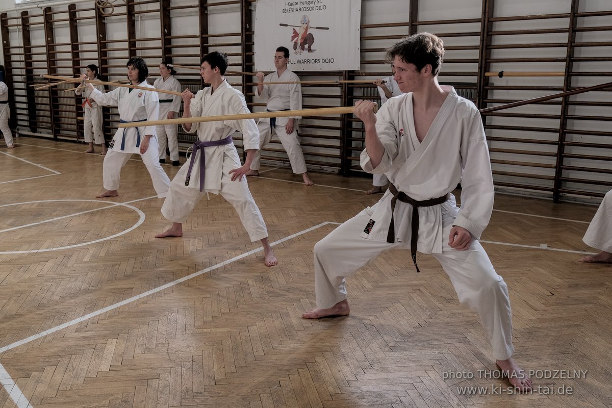 Ryukyu Kobudo Lehrgang Budapest, Thomas Podzelny, Februar 2022