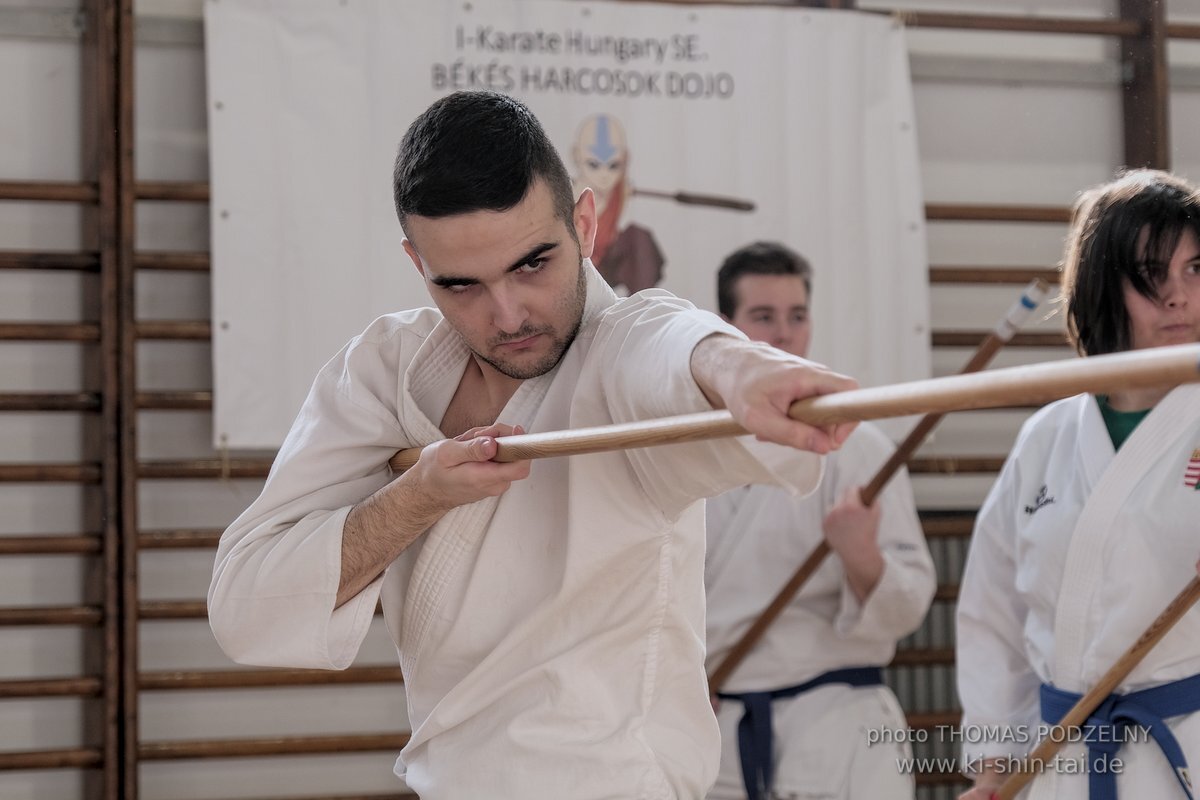 Ryukyu Kobudo Lehrgang Budapest, Thomas Podzelny, Februar 2022