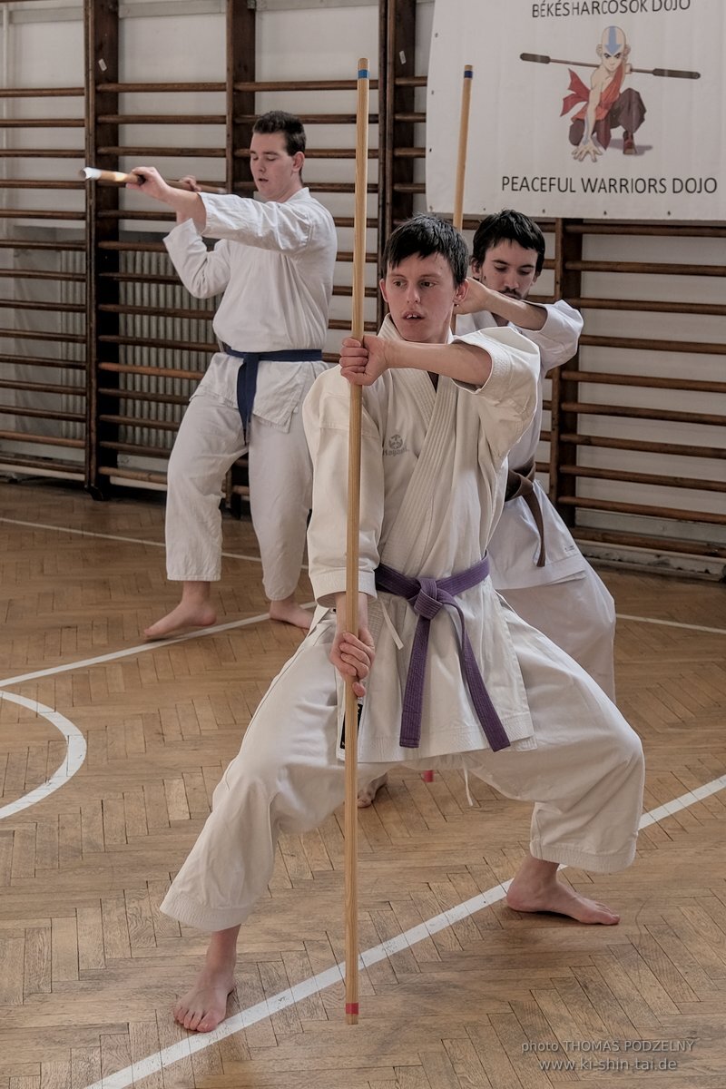 Ryukyu Kobudo Lehrgang Budapest, Thomas Podzelny, Februar 2022