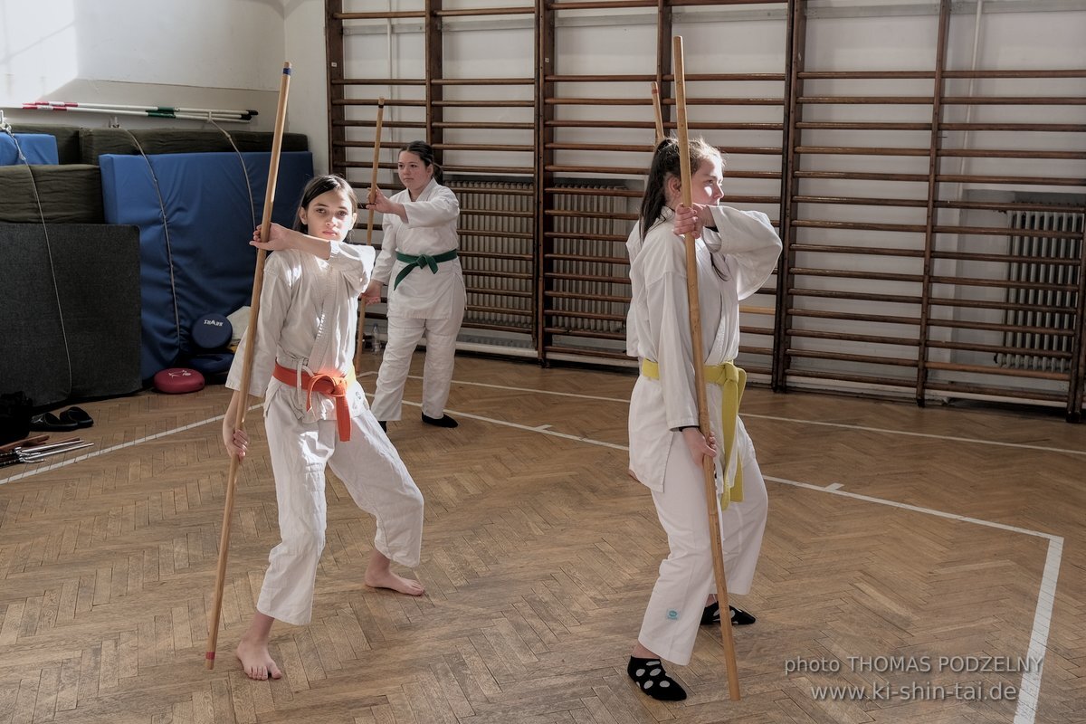 Ryukyu Kobudo Lehrgang Budapest, Thomas Podzelny, Februar 2022