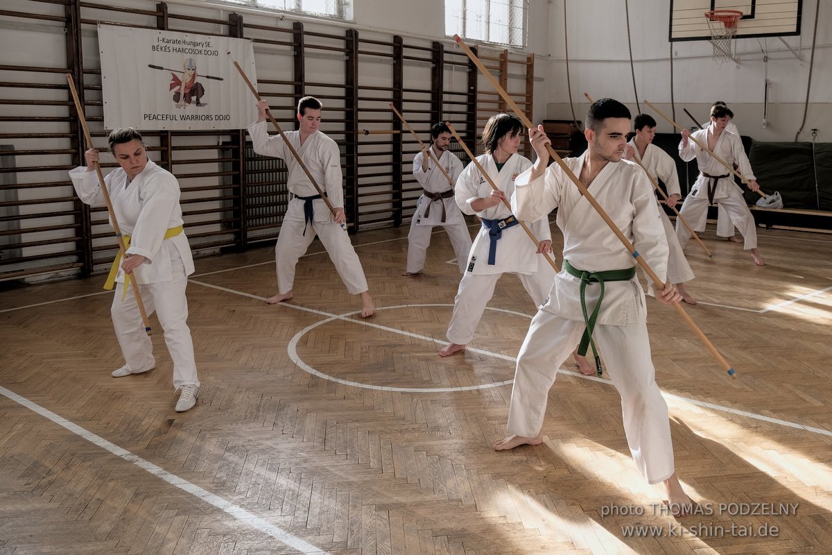 Ryukyu Kobudo Lehrgang Budapest, Thomas Podzelny, Februar 2022