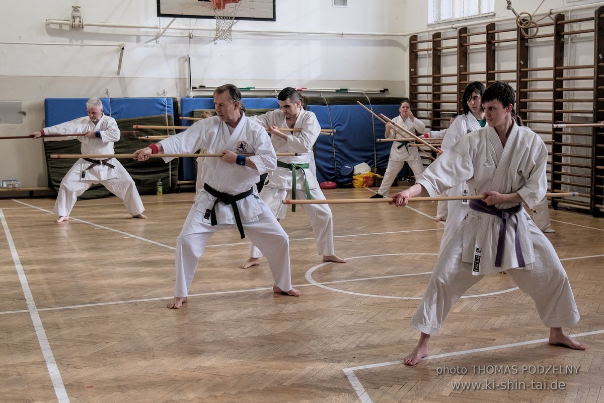 Ryukyu Kobudo Lehrgang Budapest, Thomas Podzelny, Februar 2022