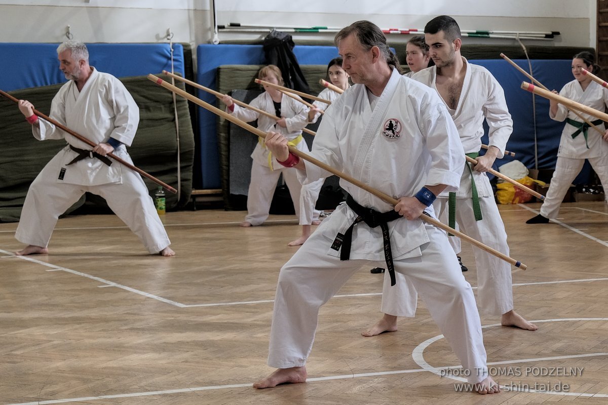 Ryukyu Kobudo Lehrgang Budapest, Thomas Podzelny, Februar 2022