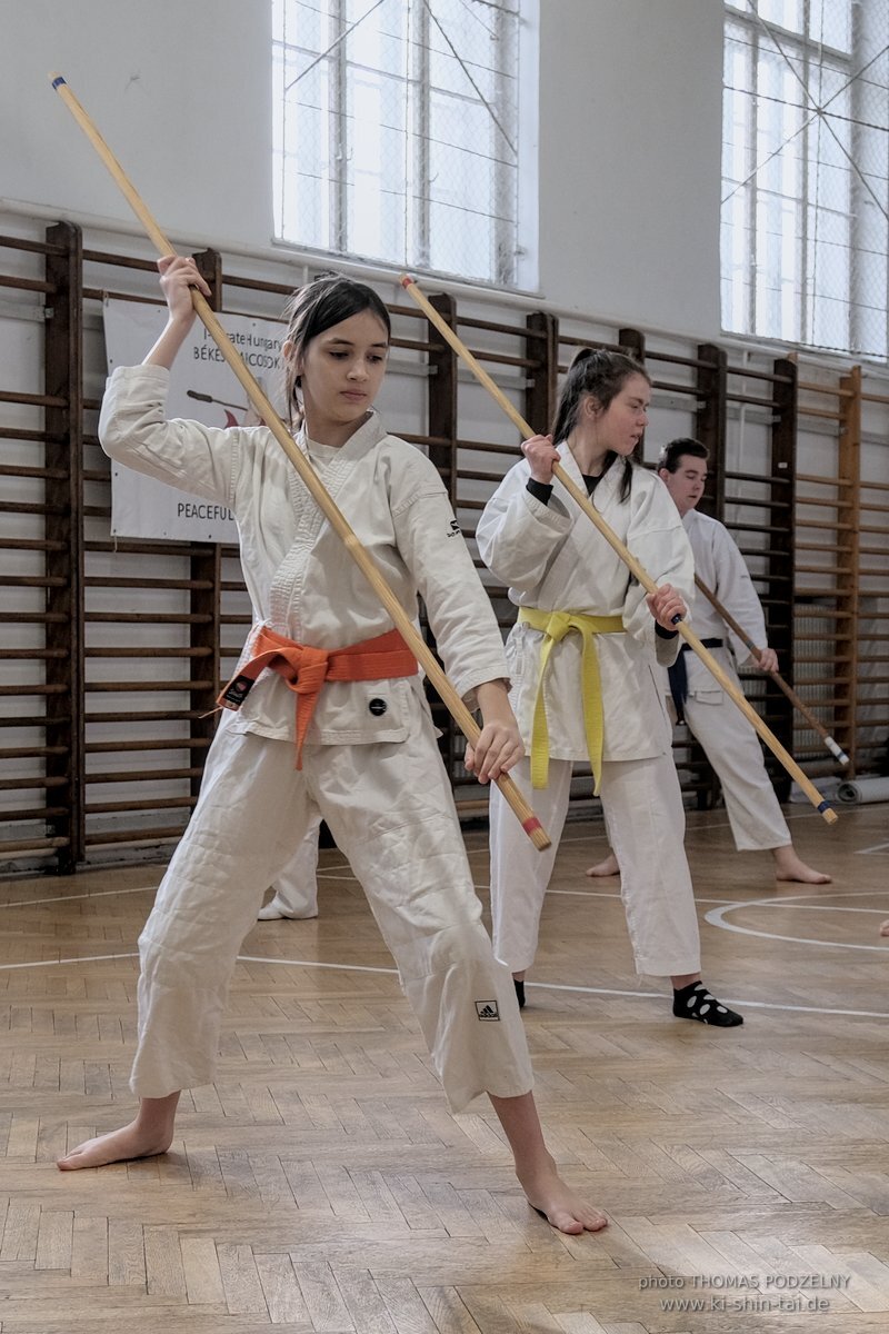 Ryukyu Kobudo Lehrgang Budapest, Thomas Podzelny, Februar 2022