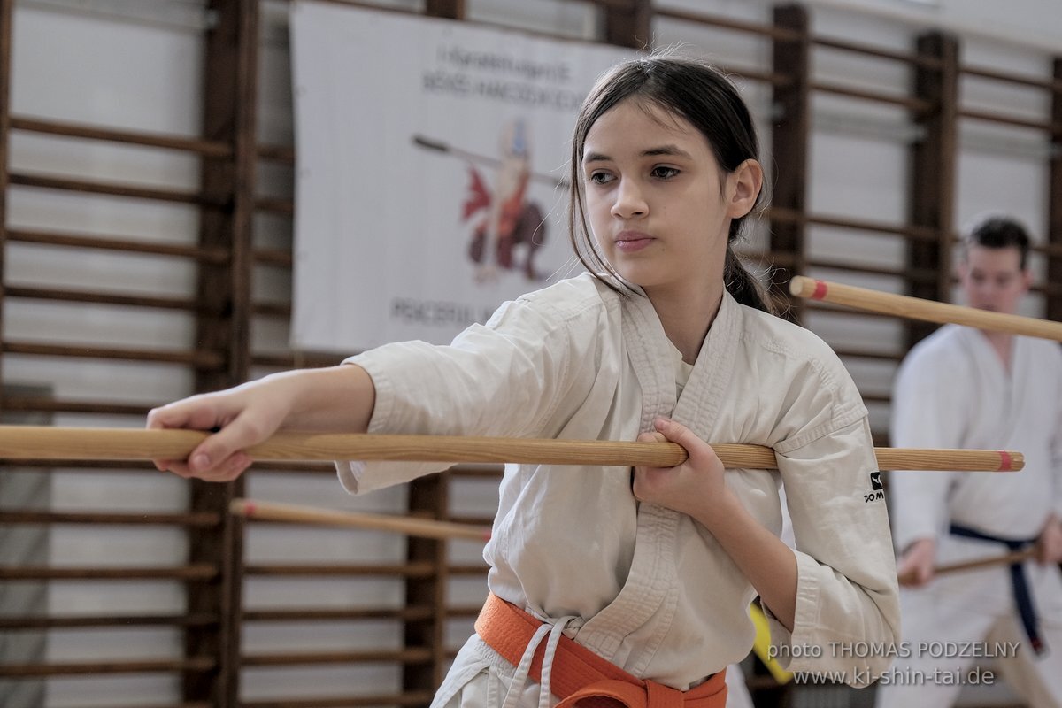 Ryukyu Kobudo Lehrgang Budapest, Thomas Podzelny, Februar 2022